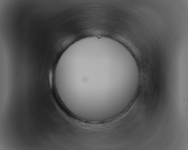 X0000088150014200705141100