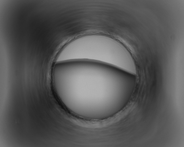 X0000088150015200705141100