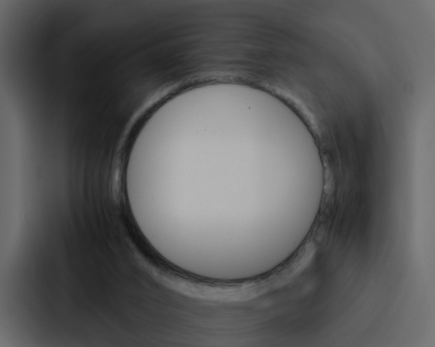 X0000088150016200705141100