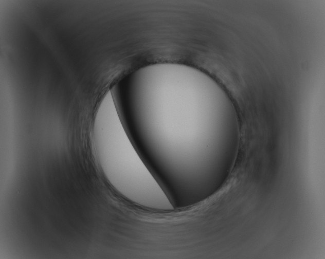 X0000088150017200705141100