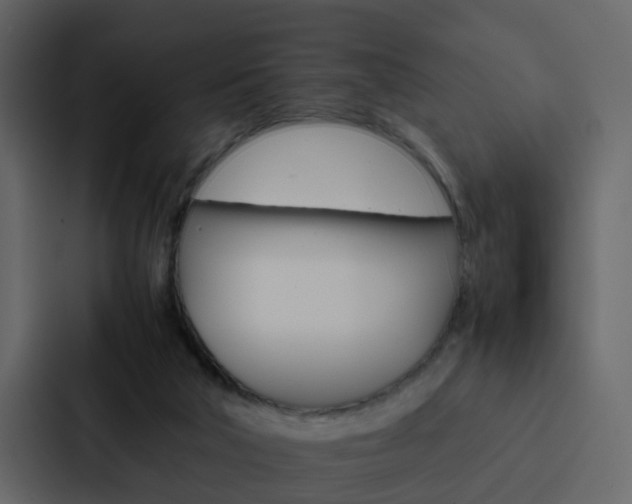 X0000088150018200705141100