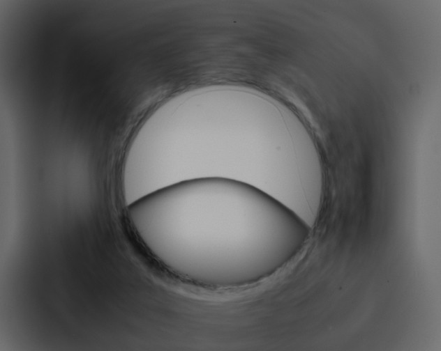 X0000088150019200705141100