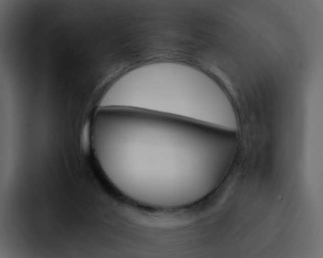 X0000088150020200705141100