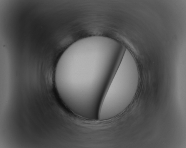 X0000088150023200705141100