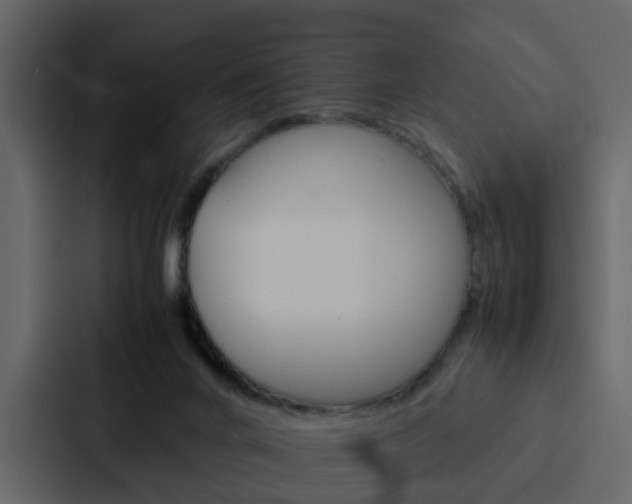 X0000088150024200705141100