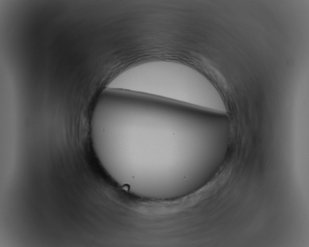 X0000088150025200705141100