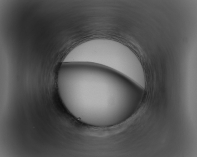X0000088150029200705141100