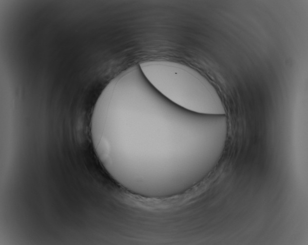 X0000088150030200705141100