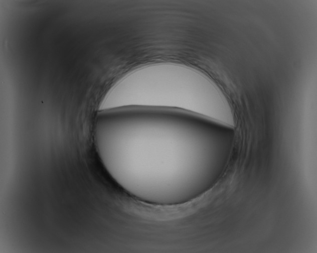 X0000088150031200705141100