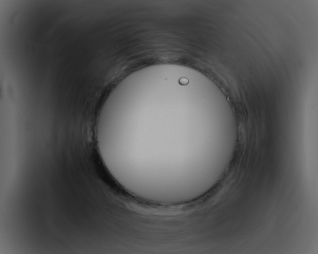 X0000088150032200705141100