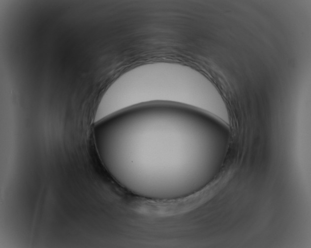 X0000088150033200705141100