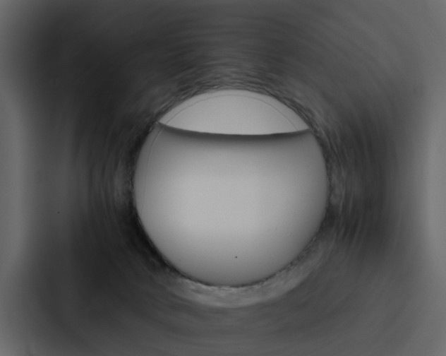 X0000088150034200705141100