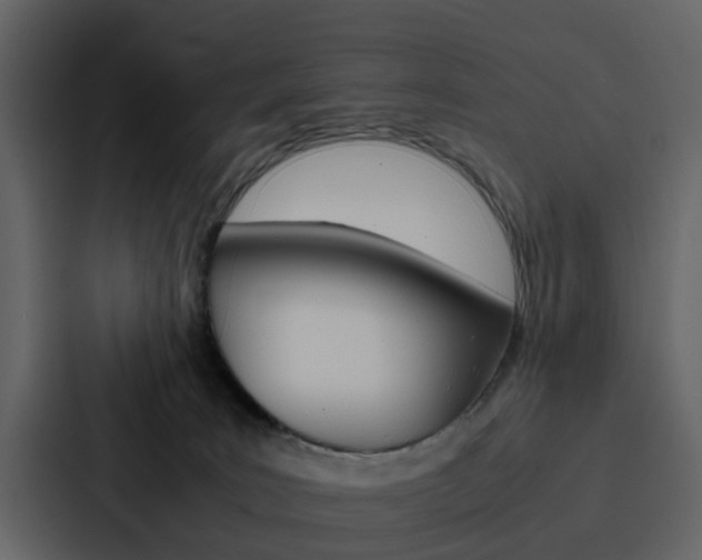 X0000088150035200705141100