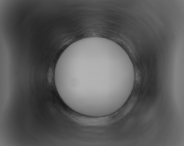 X0000088150036200705141100