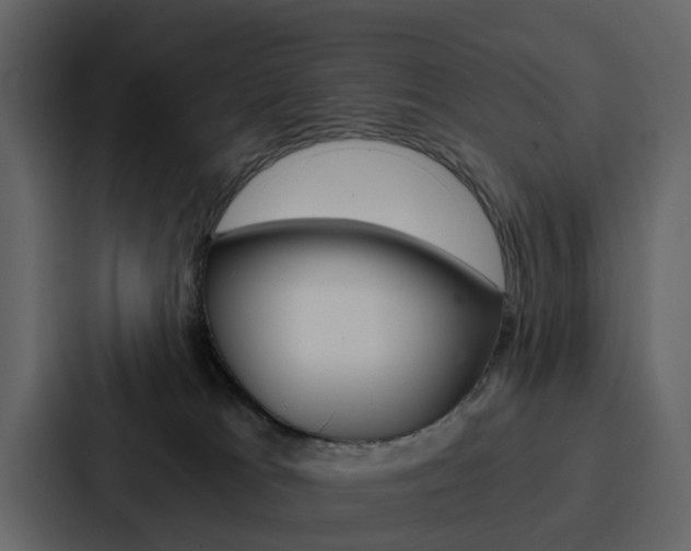 X0000088150037200705141100