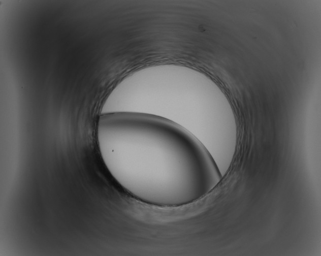 X0000088150039200705141100
