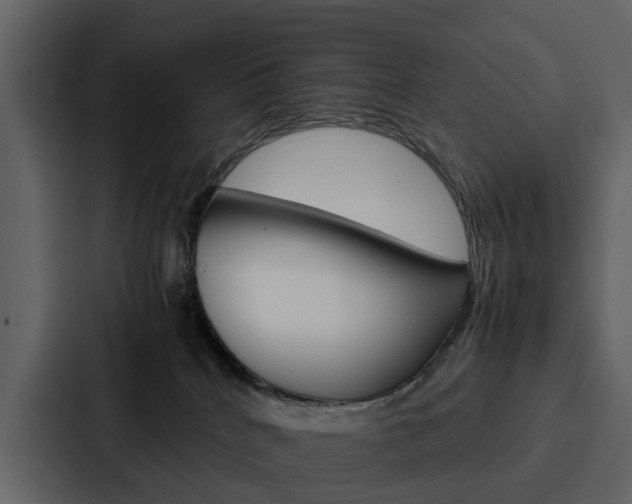 X0000088150040200705141100