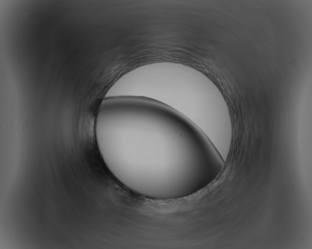 X0000088150041200705141100