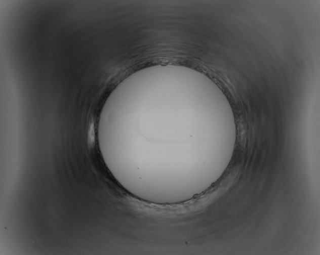 X0000088150042200705141100