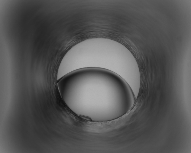 X0000088150045200705141100