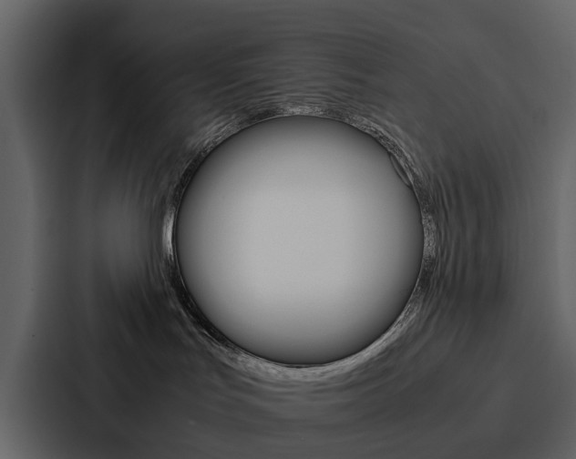 X0000088150047200705141100