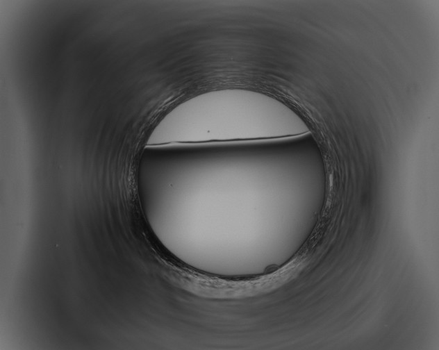 X0000088150048200705141100
