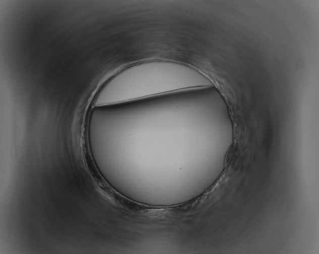 X0000088150050200705141059