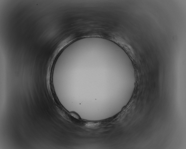X0000088150051200705141059