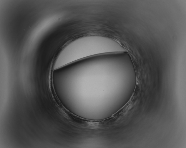 X0000088150052200705141059