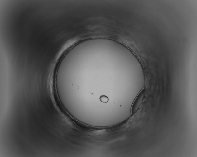 X0000088150054200705141059