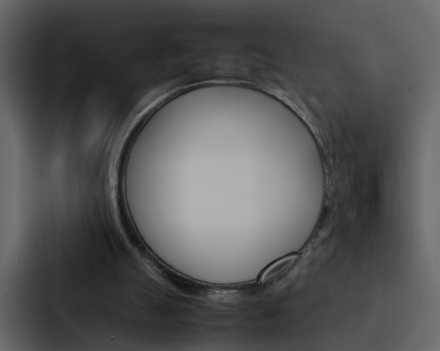 X0000088150055200705141059