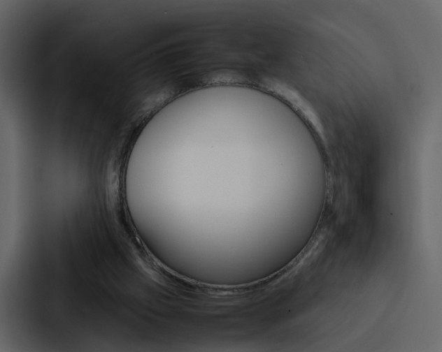 X0000088150057200705141059