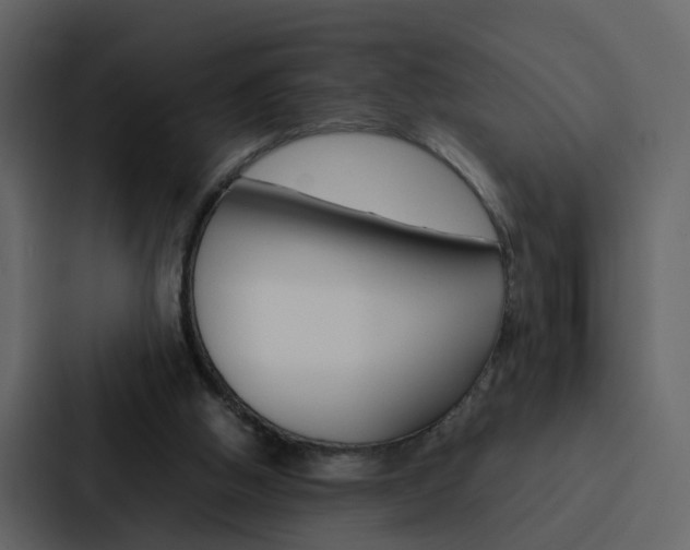 X0000088150058200705141059