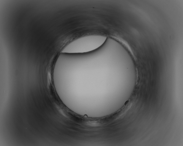 X0000088150061200705141100