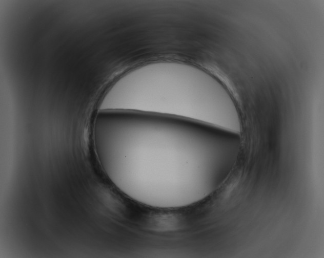 X0000088150063200705141100