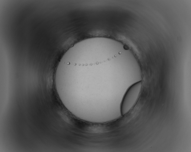X0000088150065200705141100