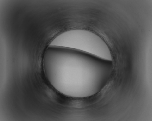X0000088150066200705141100