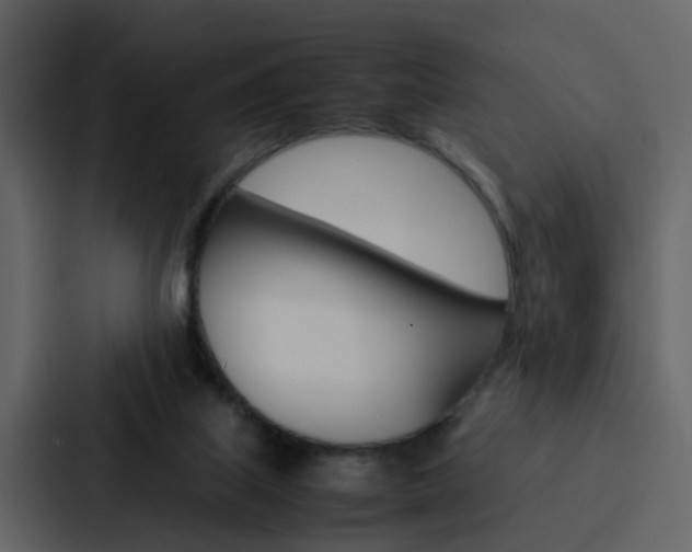 X0000088150067200705141100