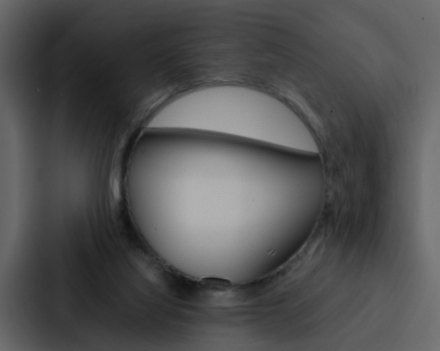 X0000088150068200705141100