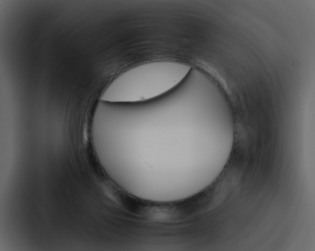 X0000088150069200705141100