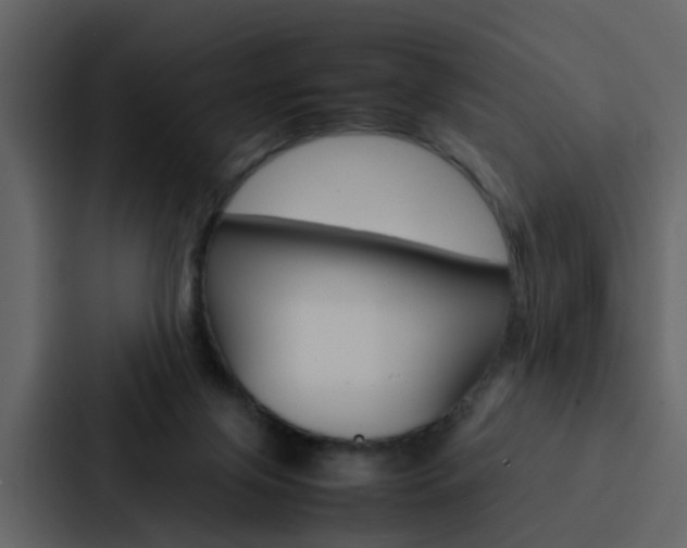 X0000088150071200705141100