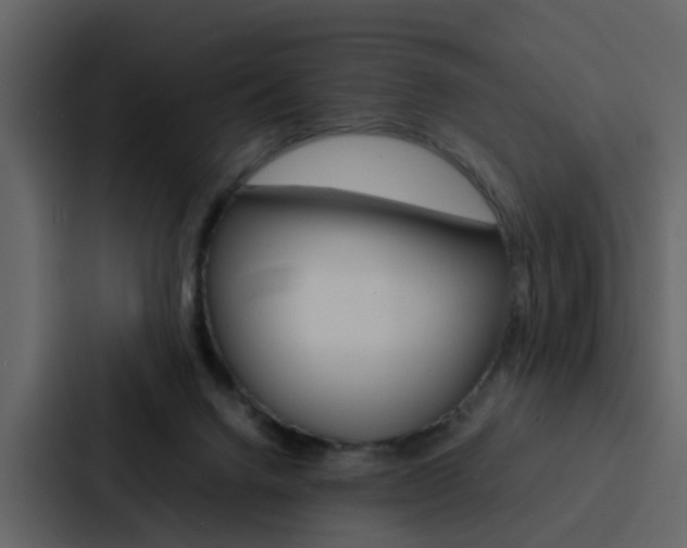 X0000088150072200705141100