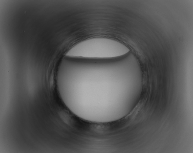 X0000088150074200705141100