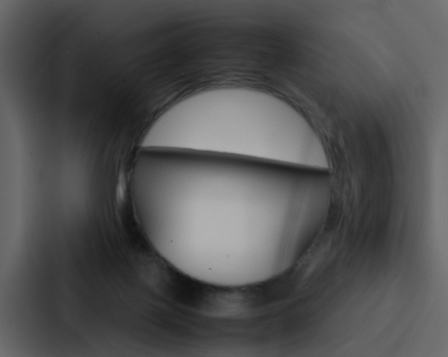 X0000088150075200705141100