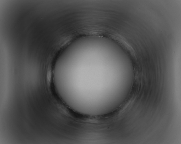 X0000088150076200705141100