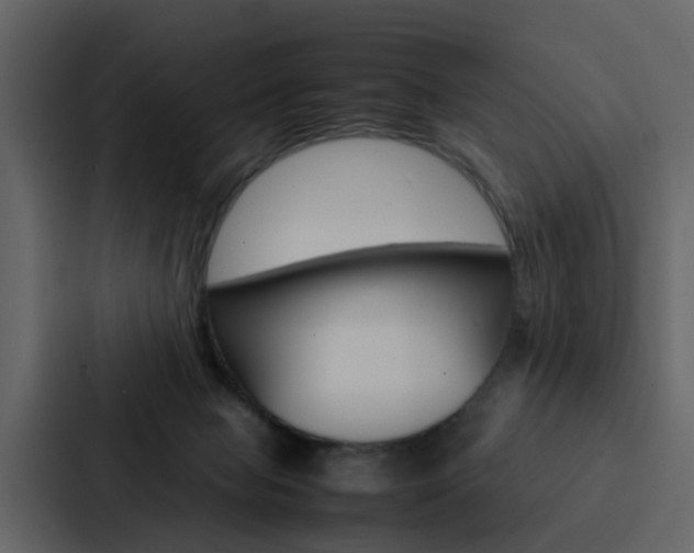 X0000088150077200705141100