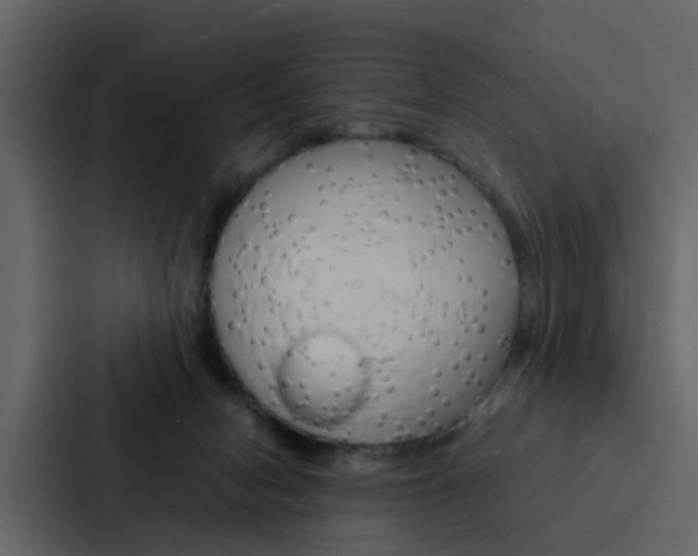 X0000088150078200705141100