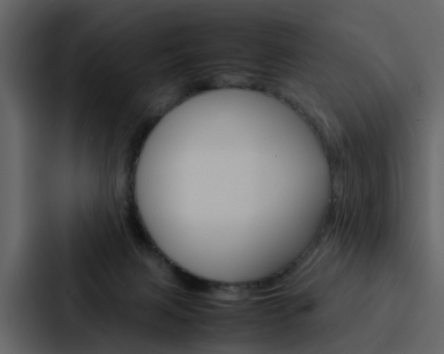 X0000088150079200705141100