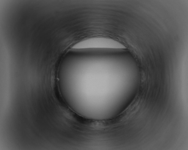 X0000088150080200705141100