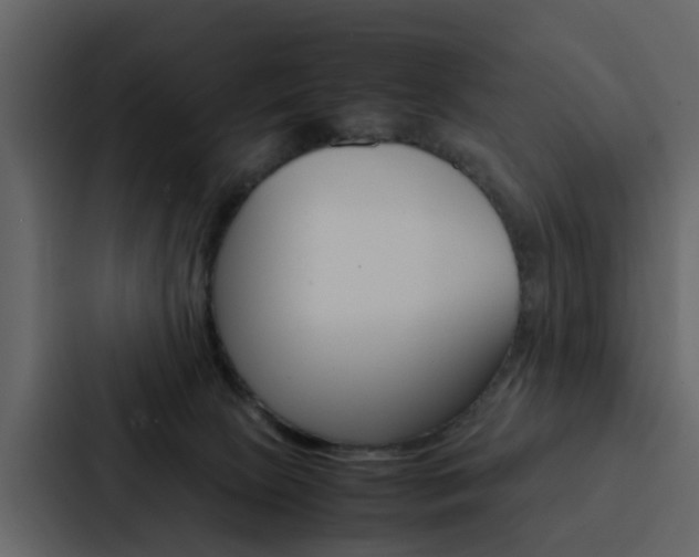 X0000088150081200705141100
